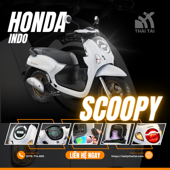 Honda Scoopy Indo