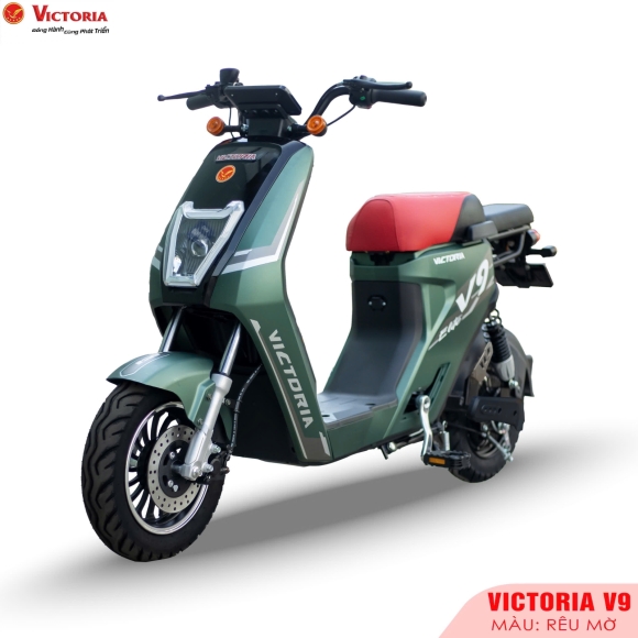 Xe điện Victoria V9