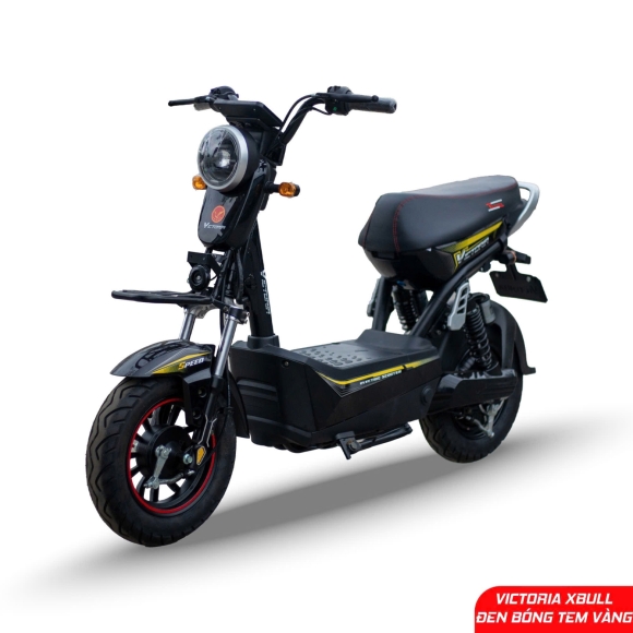 Xe điện Victoria Xbull