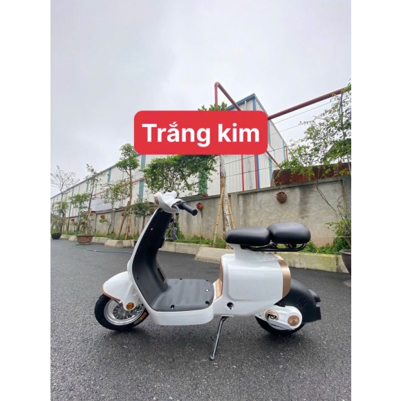 Xe điện HTC thời trang 240W