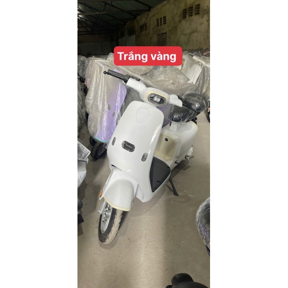 Xe điện HTC thời trang 240W