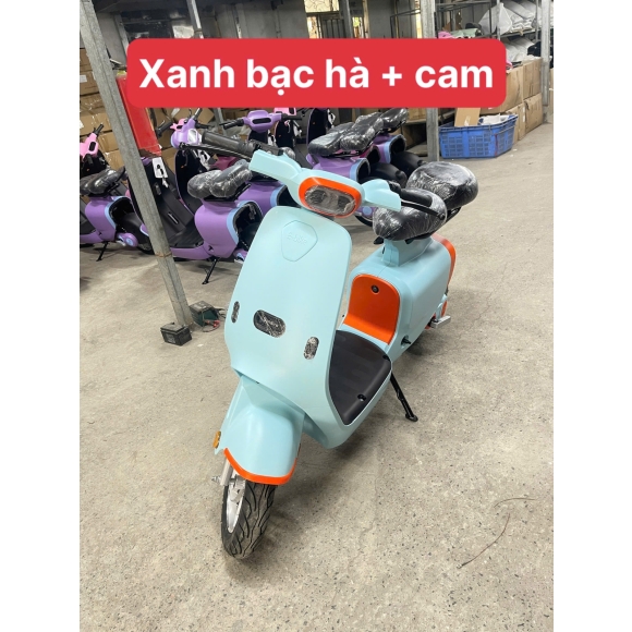 Xe điện HTC thời trang 240W