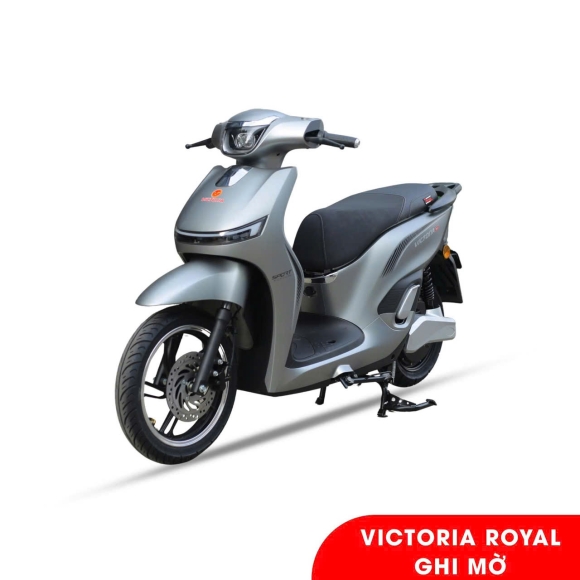 Xe điện Victoria Model